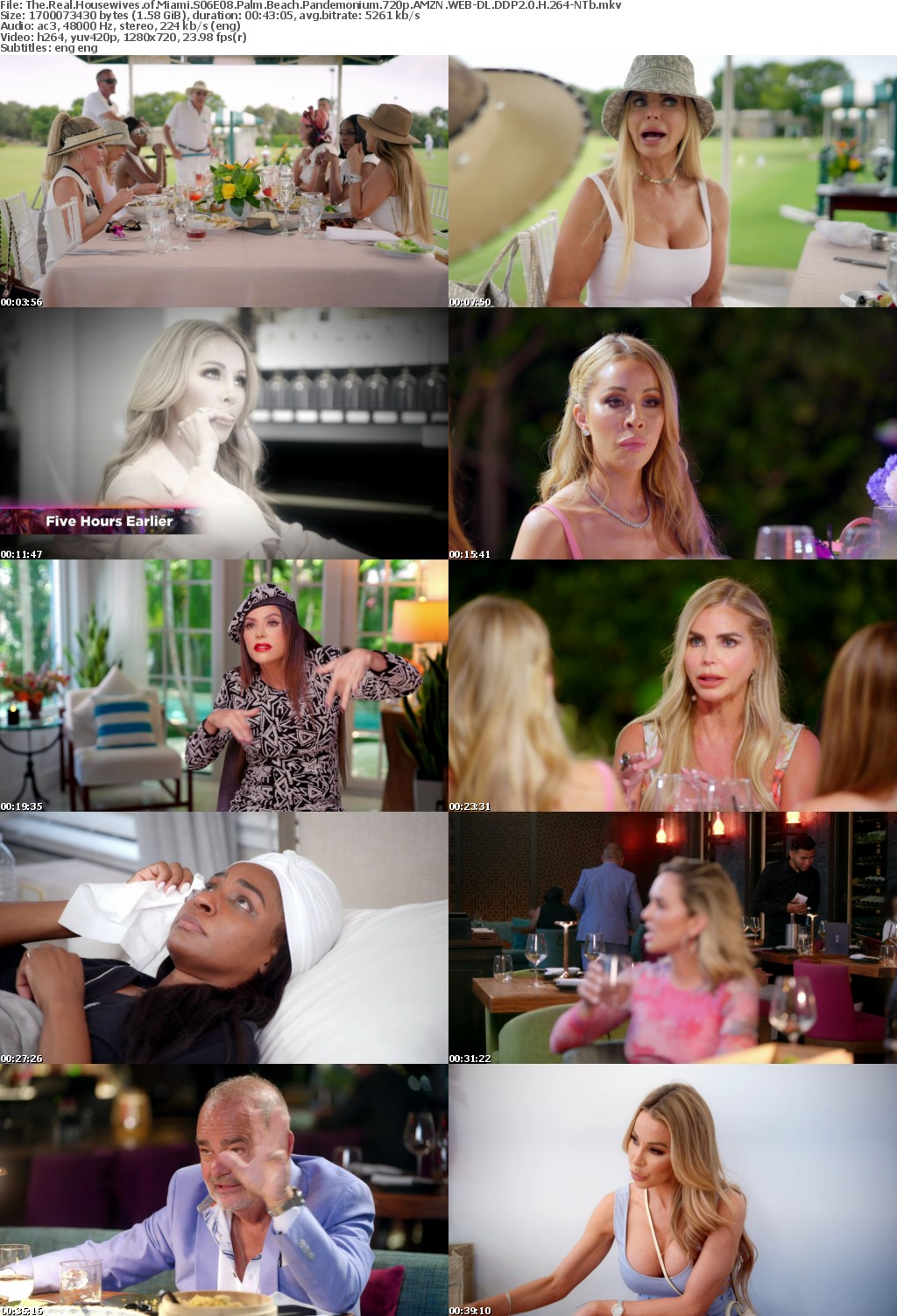 The Real Housewives of Miami S06E08 Palm Beach Pandemonium 720p AMZN WEB-DL DDP2 0 H 264-NTb