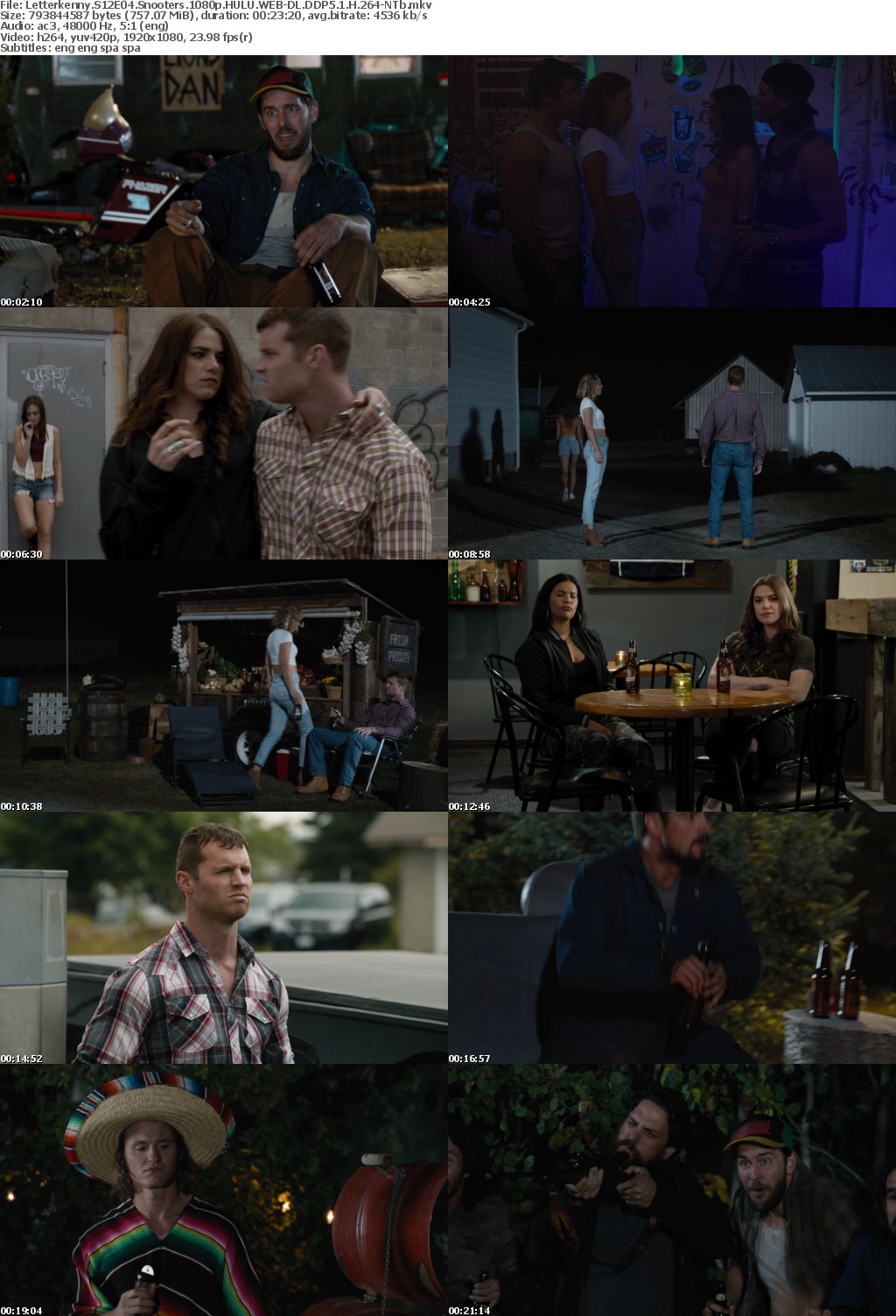 Letterkenny S12E04 Snooters 1080p HULU WEB-DL DDP5 1 H 264-NTb