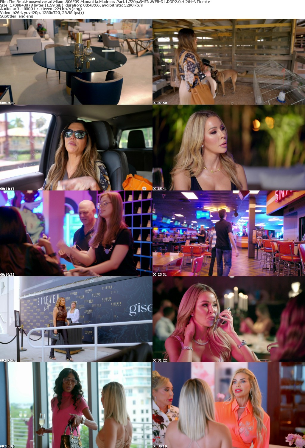 The Real Housewives of Miami S06E09 Mamacita Madness Part 1 720p AMZN WEB-DL DDP2 0 H 264-NTb