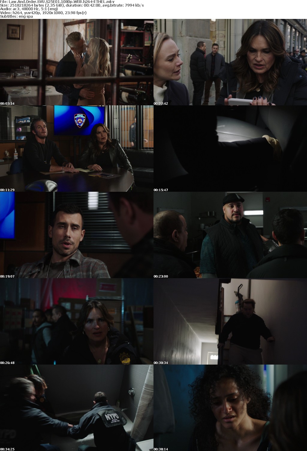 Law And Order SVU S25E01 1080p WEB h264-ETHEL