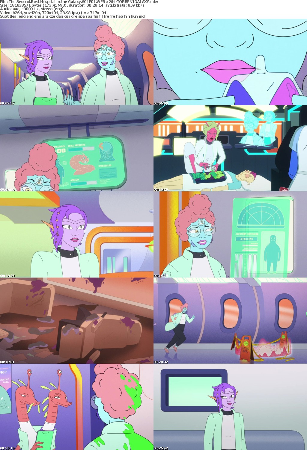The Second Best Hospital in the Galaxy S01E01 WEB x264-GALAXY