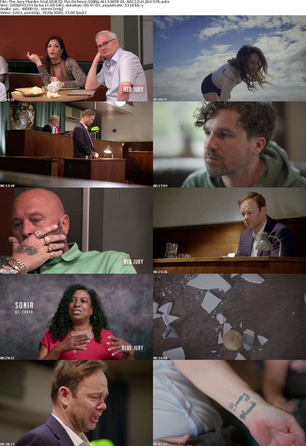 The Jury Murder Trial S01E02 The Defence 1080p ALL4 WEB-DL AAC2 0 H 264-NTb