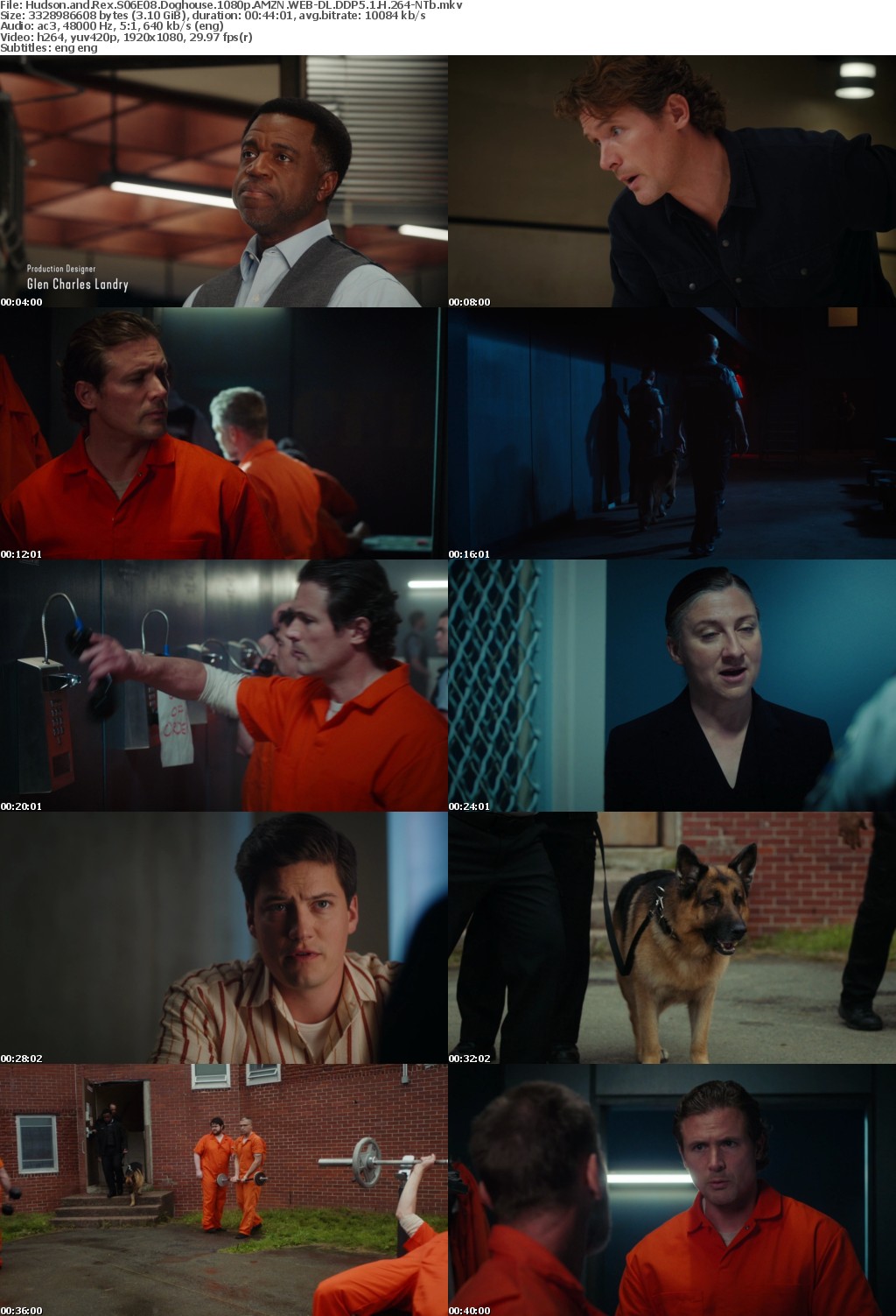 Hudson and Rex S06E08 Doghouse 1080p AMZN WEB-DL DDP5 1 H 264-NTb