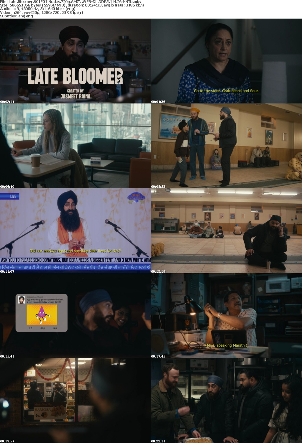 Late Bloomer S01E01 Nudes 720p AMZN WEB-DL DDP5 1 H 264-NTb