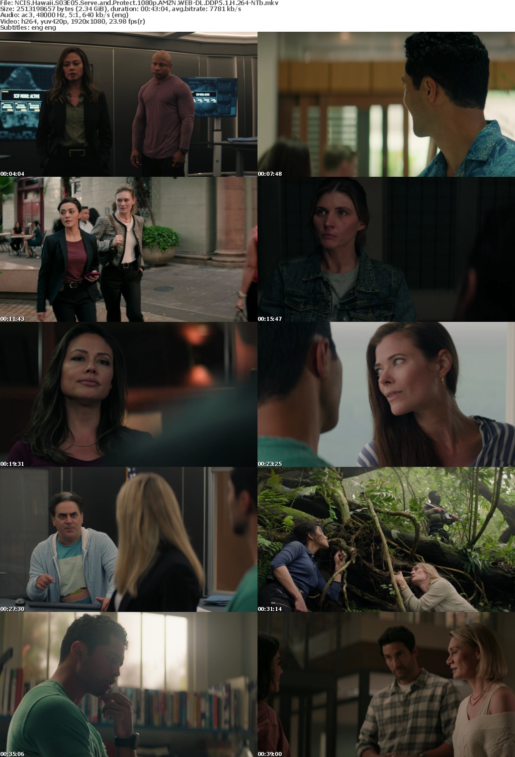 NCIS Hawaii S03E05 Serve and Protect 1080p AMZN WEB-DL DDP5 1 H 264-NTb